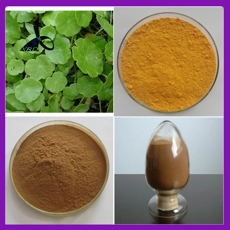 CAS No.: 3604-87-3 Dew Grass Extract 98% Ecdysterone Increasing Strength and Endurance