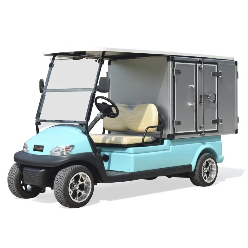 2 Seaters Golf Cart Four Wheels Electric 10 Inch Wheels Golf Car