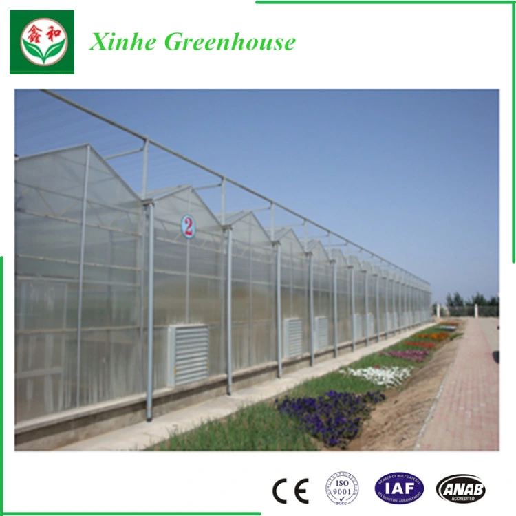 Greet Eeconomic Benefit PC Sheet Greenhouse for Planting