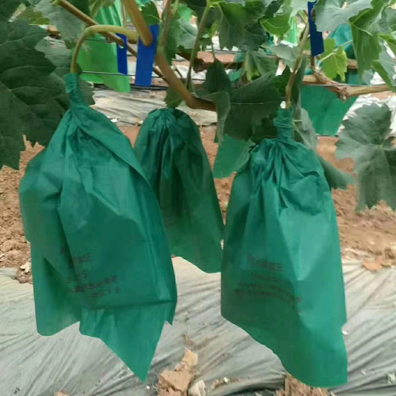 Fruits Rain Waterproof Coated with Wax Mango Fruit Growing Tree Bag Fruit Protection Guava Bag Grape Bag
