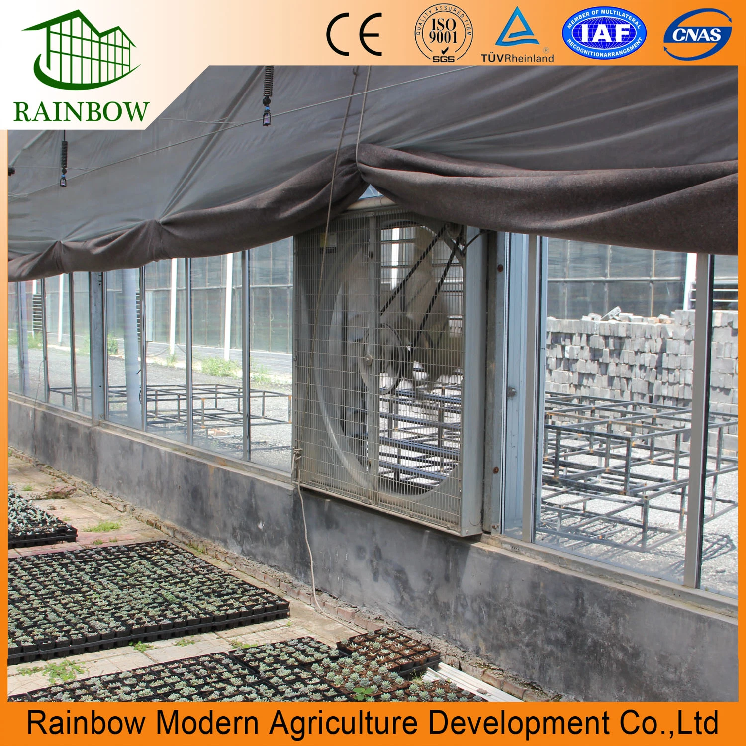 Cheap Arch Type Film Tomato Greenhouse for Tropical Region