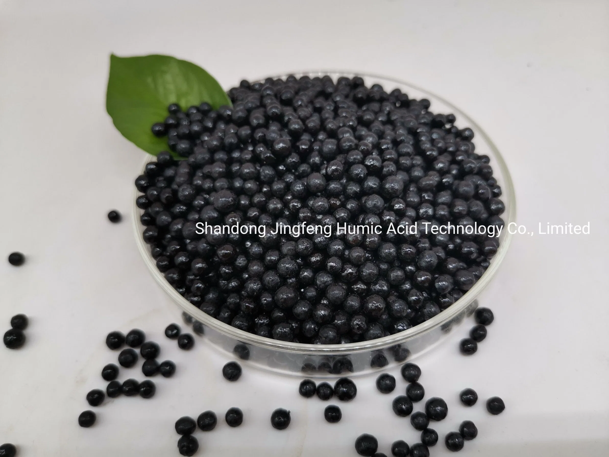 Granular Agrochemical Organic Fertilizer Amino Acid Compound Humic Acid Agriculture Use Balck Shiny Granule