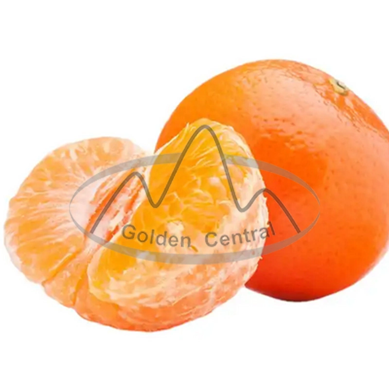 China Hot Selling 100% Natural Fresh Mandarin Orange