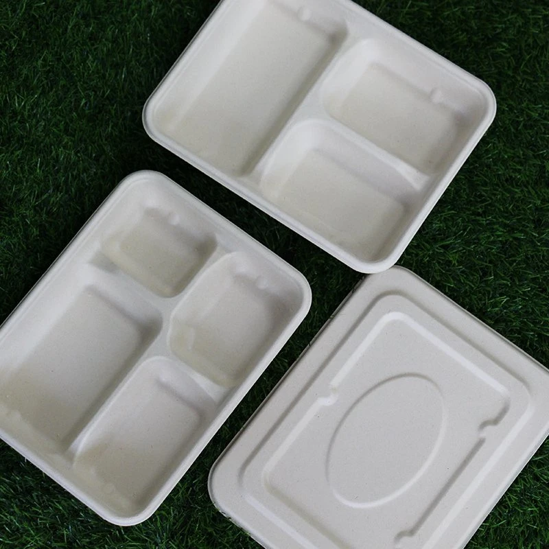 Watsonpak Environmental Protection Microwave Co Sugarcane Bagasse Bamboo Pulp Disposable Food Service Pulp Paper Compartment Biodegradable Tray with Lid