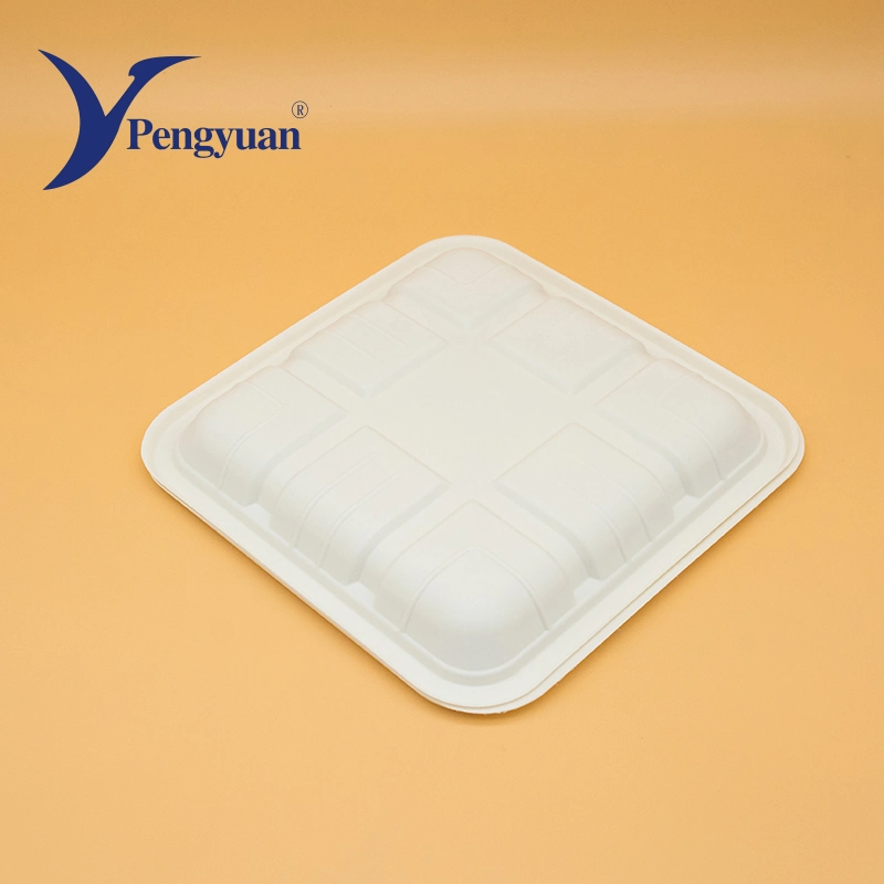 Corn Starch Disposable Paper Food Tray