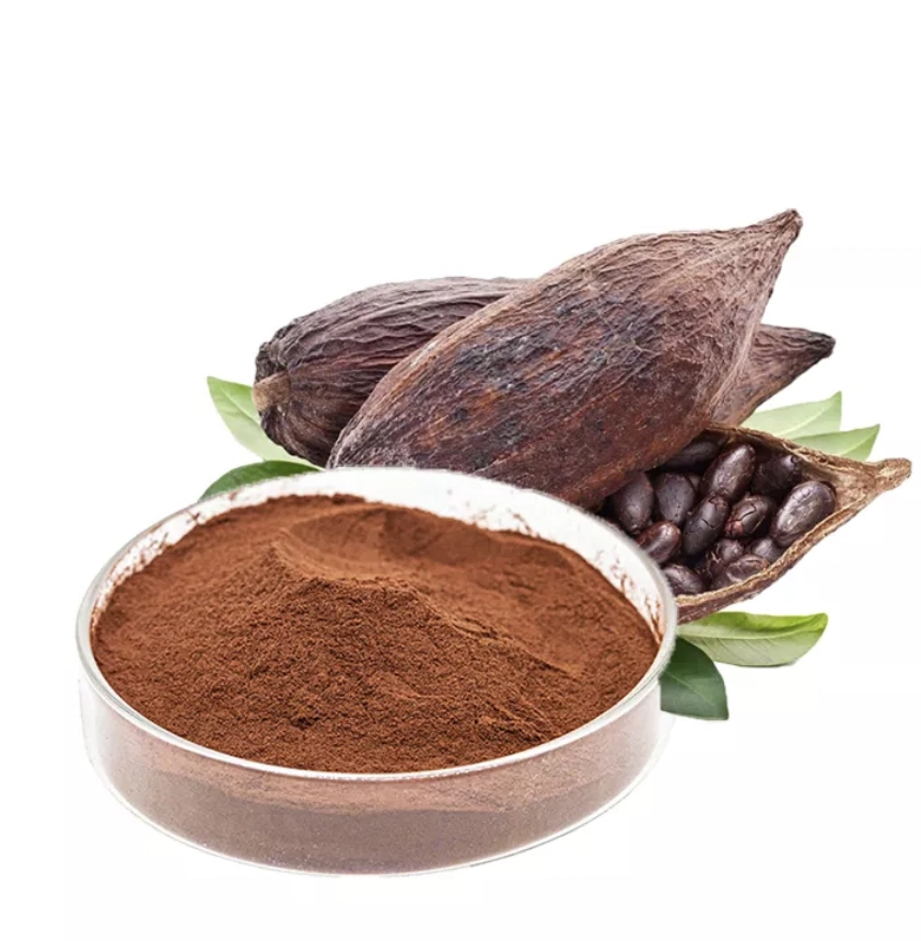 A granel Baja grasa 100% puro polvo de cacao negro Cacao sin azúcar