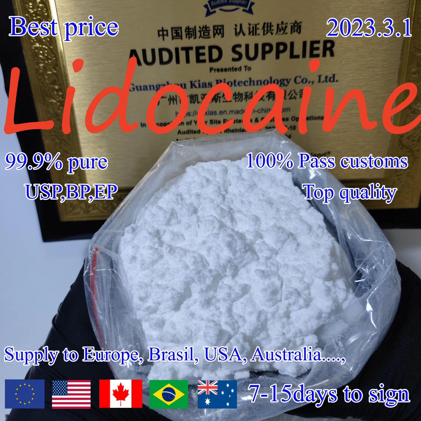 Factory Selling Lidocaine HCl Powder/Lidocaine Hydrochloride/Lidocaine Base for Pain Relief CAS 73-78-9 Anesthesia Powder Best Price