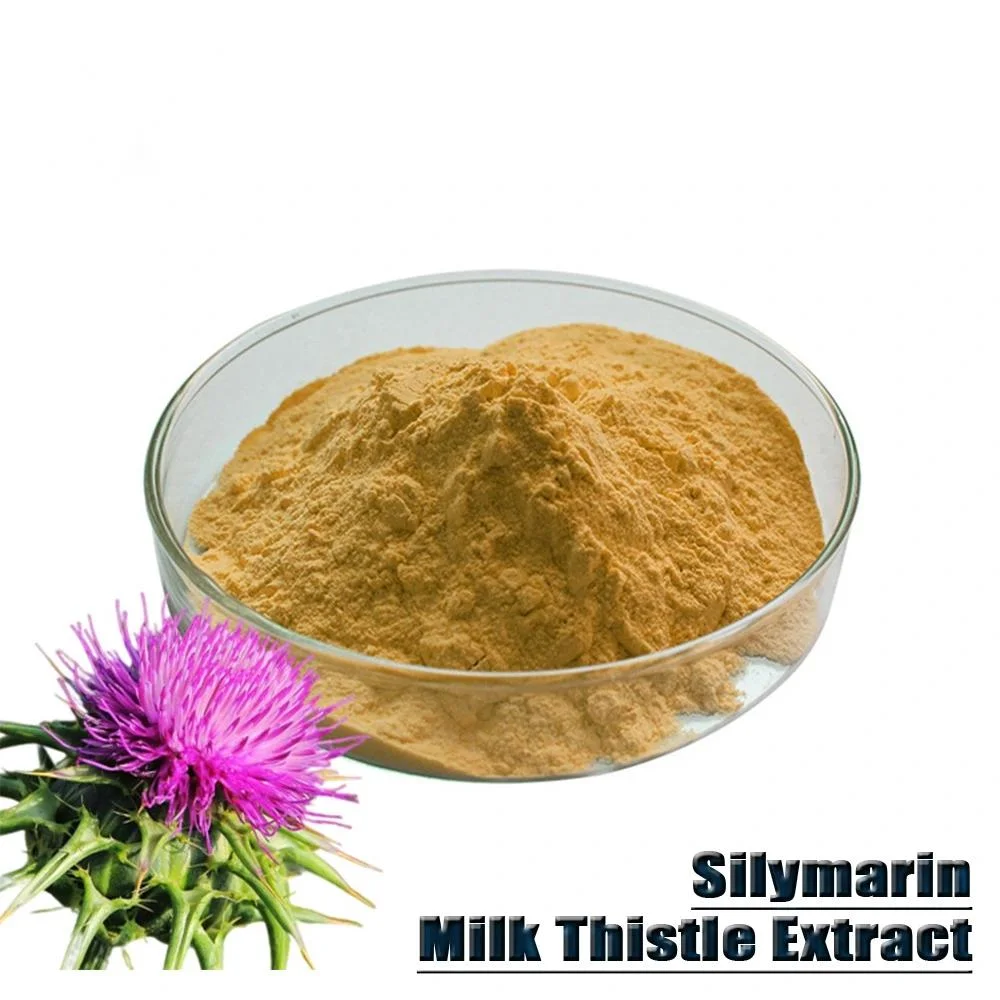High Quality Herbal Extract Silymarin 80% Milk Thistle Extract Milk Thistle