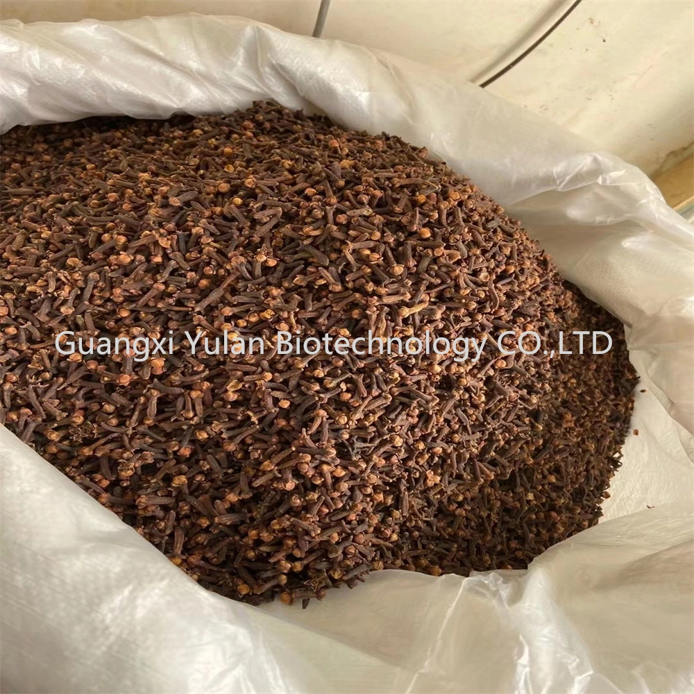 Wholesale/Supplier Factory Bulk Top Seller Spices Organic Dry Cloves