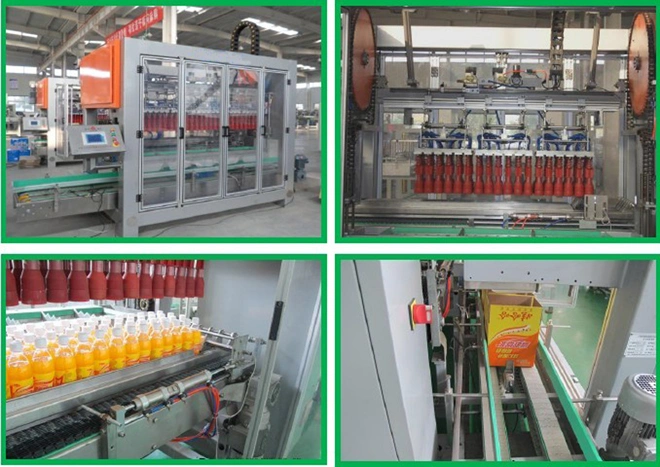 Automatic Carton Packer (ZX-10)