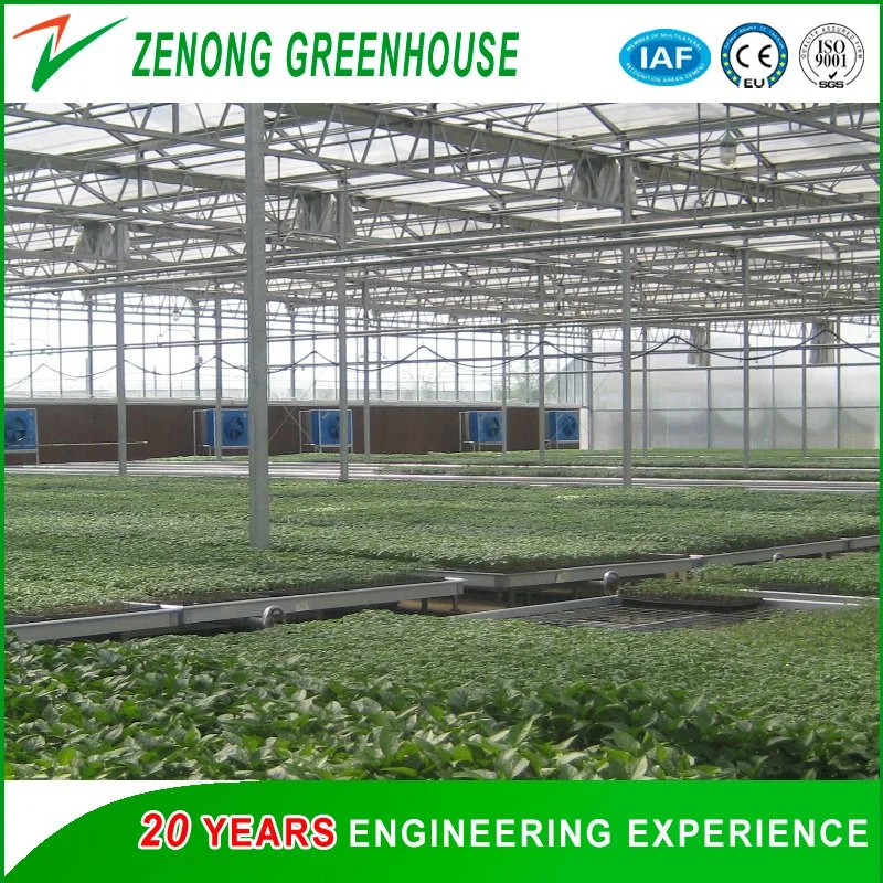 Intelligent Automatic Greenhouse Covered with PC Plate for Soil-Less Cultivation Equipped with Hydroponics/Substrate Planting System,