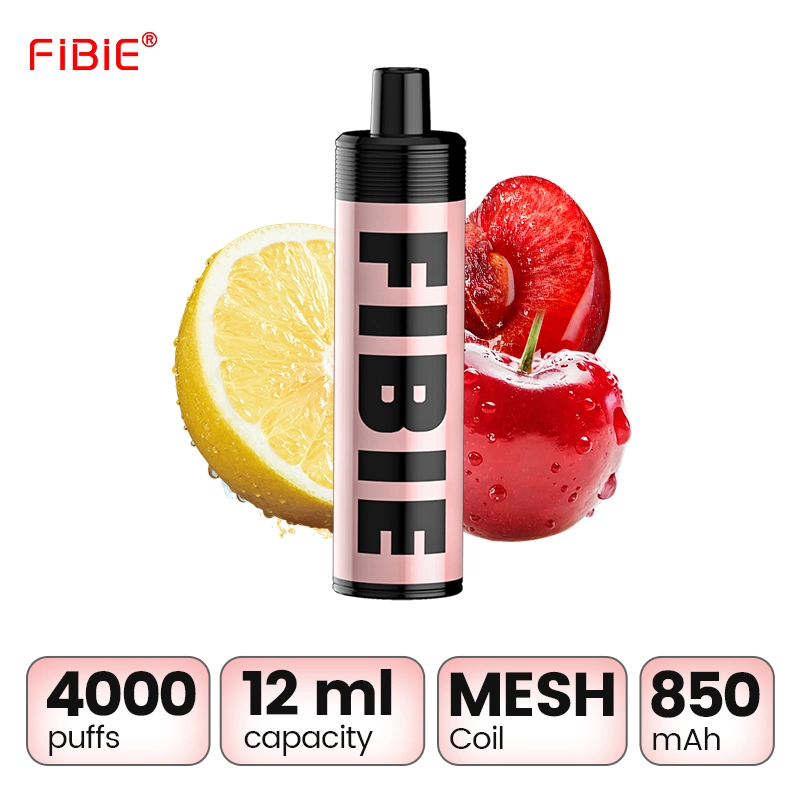 Shenzhen E Cigarette Vaal Direct to Lung Mesh Coil 4000 Puff Bulk Best E Cigarette Purchase