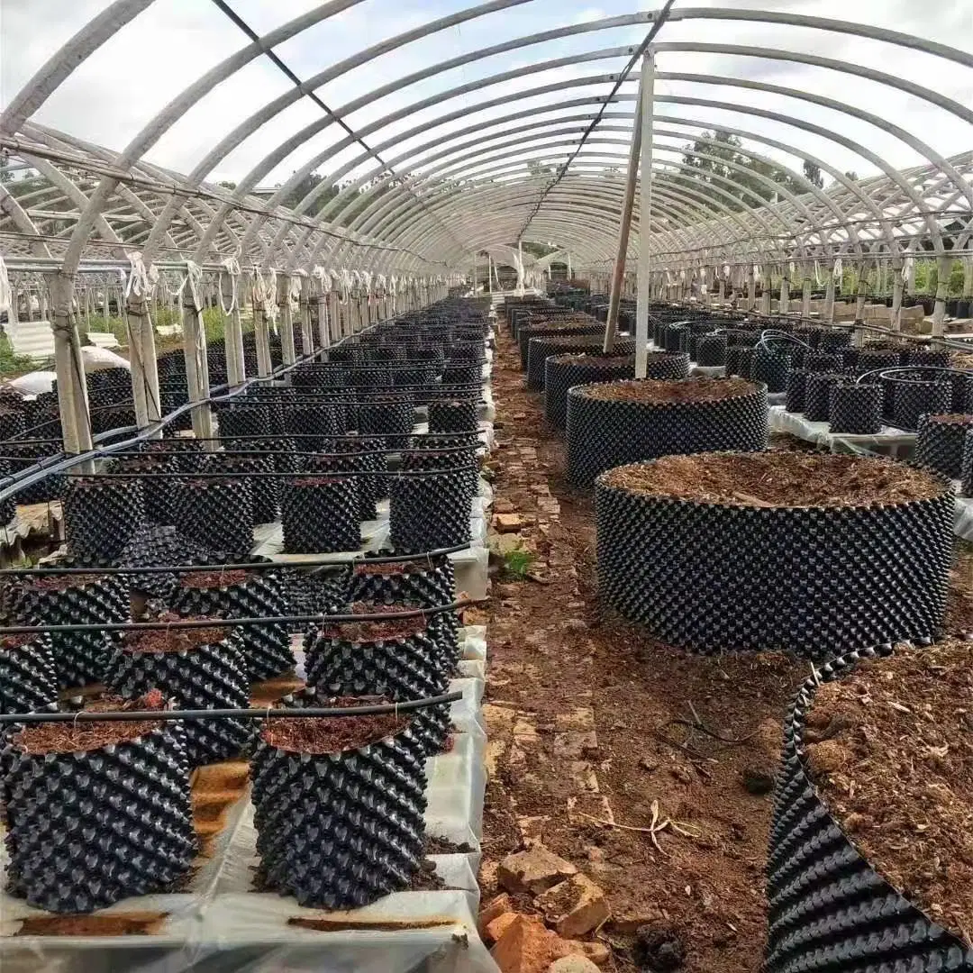 Planta berçário / dispositivo de drenagem de irrigação / recipiente de cultivo de plantas / Pot controlando Pot de flor plástico Potenciómetro de poda de ar