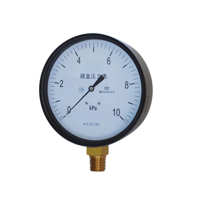 Stainless Steel Bottom Connection Capsule Pressure Gauge