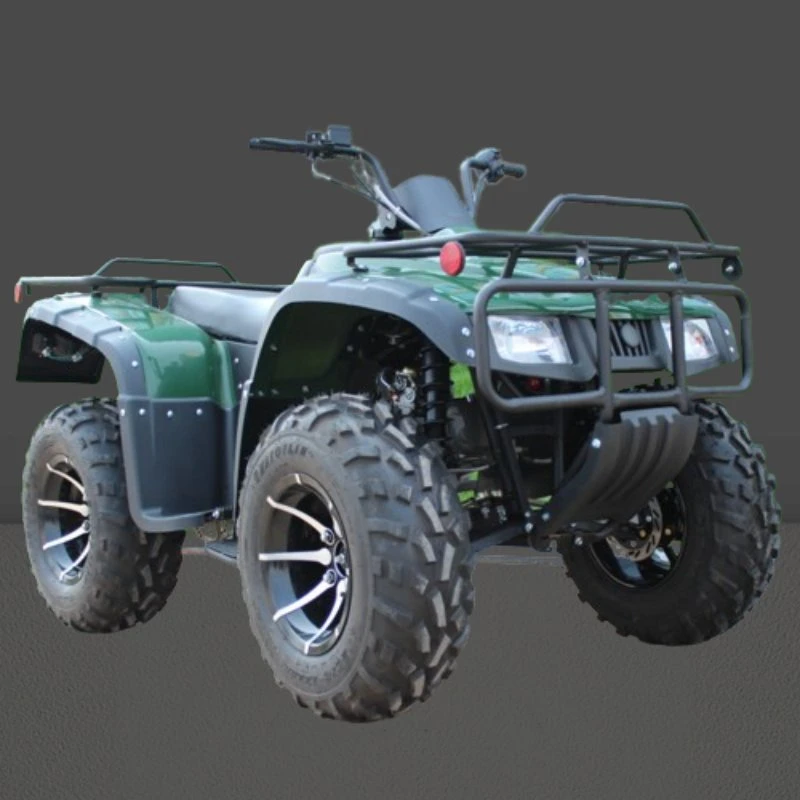 Quad ATVs Electric Start 200cc Benzin ATV für Erwachsene