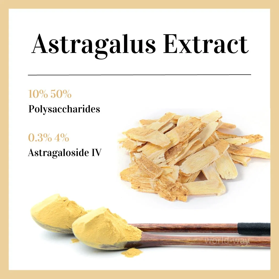 Alimentação de fábrica Astragalus Polissacarídeos Astragaloside Astragalus extrato de raiz