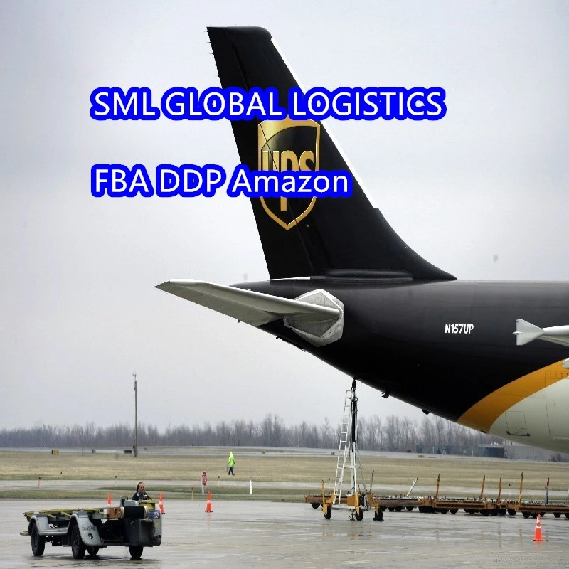 DHL/internacional UPS/FedEx y TNT Servicio de envío de Carga Aérea de EEUU/UK/Europa/Canadá con las mejores tarifas de envío