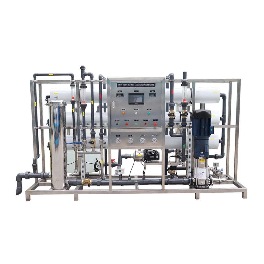 Water Purifying 6tons Per Hour Brackish Water Desalination Equipment for Industrial Use