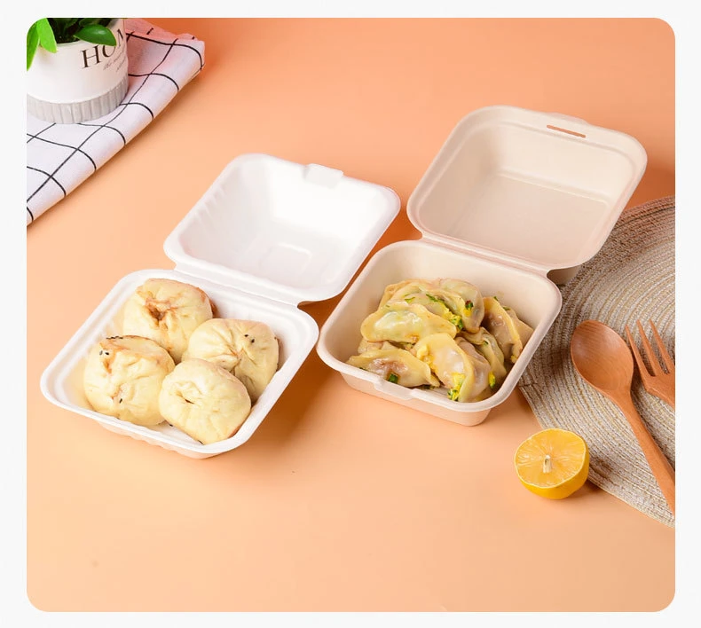 Biodegradable Container Food Takeaway Packaging Sugarcane Bagasse Pulp Paper Lunch Box