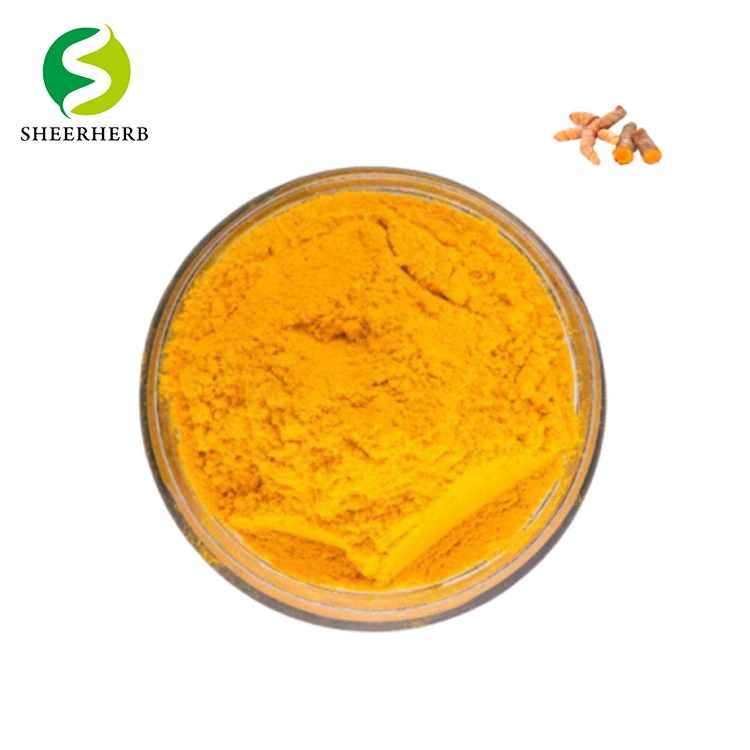 2022 Pure Turmeric Curcuma Longa Extract Organic Curcumin Powder Turmeric Root Extract with Bioperine 95% Curcuminoids