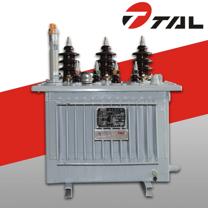 Oil Immersed Type Power Distribution Electric Voltage Transformer