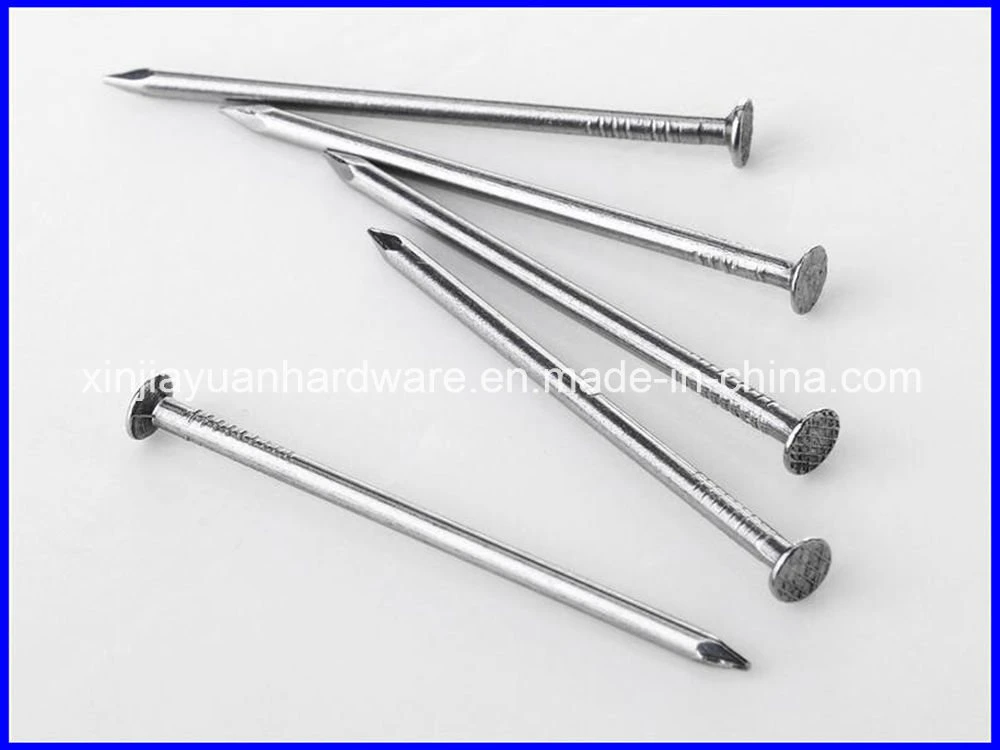 60d Polished /Galvanized Common Iron Nail with Super Quality