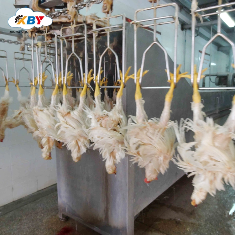 Ligne d'abattage de poulet de la volaille halal de l'équipement de l'abattage de poulets en abattoir de la machinerie