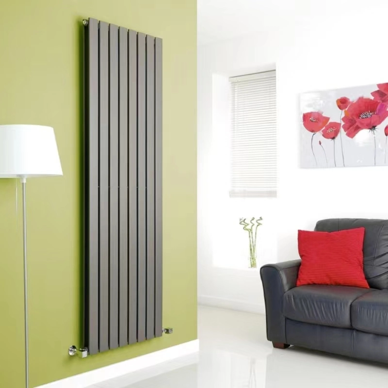 Designer Style Room Heating Radiator Efficient Heat Dissipation Double Panel Steel Radiator