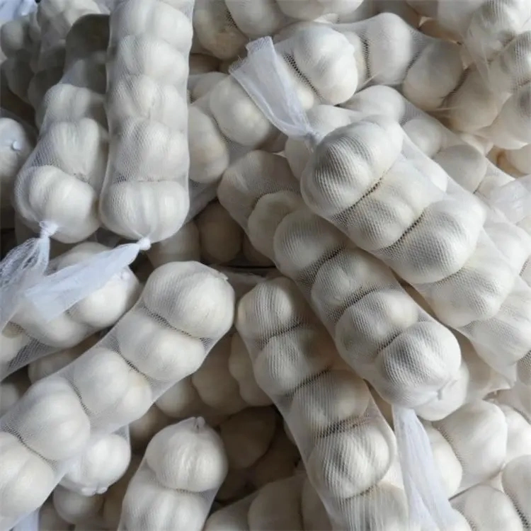 Fresh Pure White Garlic High quality/High cost performance Small Package 3p 4p 5p 6p Net Bag Garlic