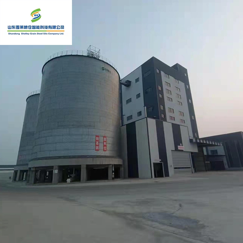 Shelley Flat Bottom Silo China Flat Bottom Paddy Rice Silo Manufacturer Grain Seeds Feed Flat Bottom Storage Wheat Maize Corn Soybeans Silos