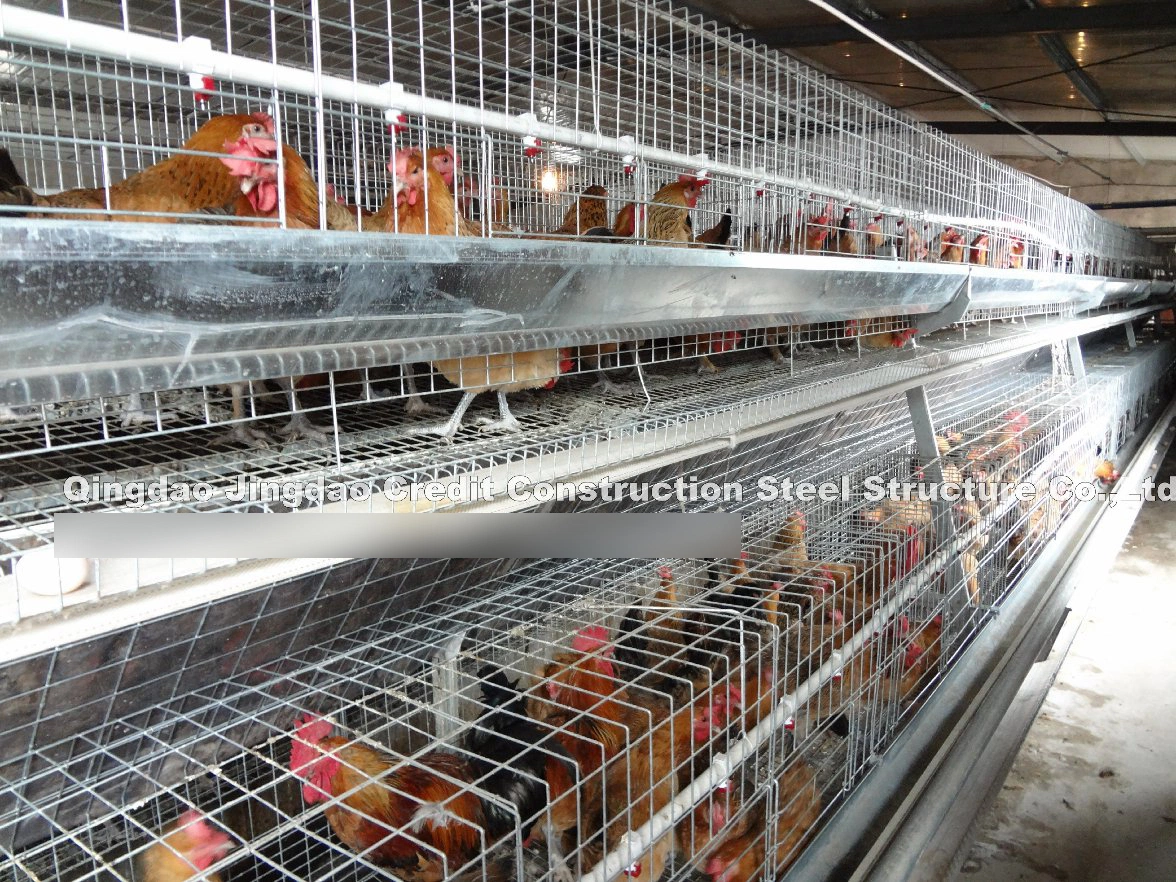 La garantía de calidad Diseño de la estructura de acero galvanizado de aves de corral de la jaula de Pollo Gallina de la capa de huevo de granjas galpón Gallinero Equipo Gallinero asador Casa Gallinero