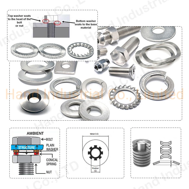 Hand Industrial DIN128b 18-8 18-10 Stainless Steel Curved Wave Single Coil Split Spring Lock Washers