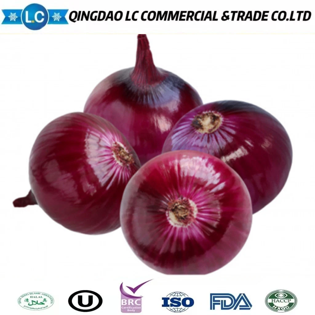 Hot Selling Delicious Quality IQF Frozen Sliced Onion