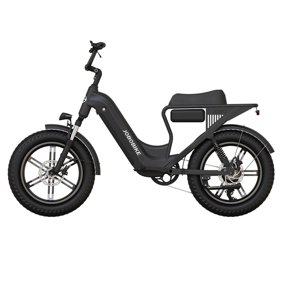 Fat Bike Lithium Battery Electric Dirt Bike Adult off-Road Motorcycles Aluminum Alloy Electric Bike