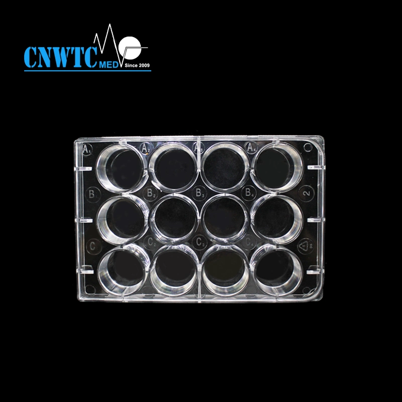 24well Laboratory Plastic Sterile PCR Reaction Cell Tissue Culture Plate