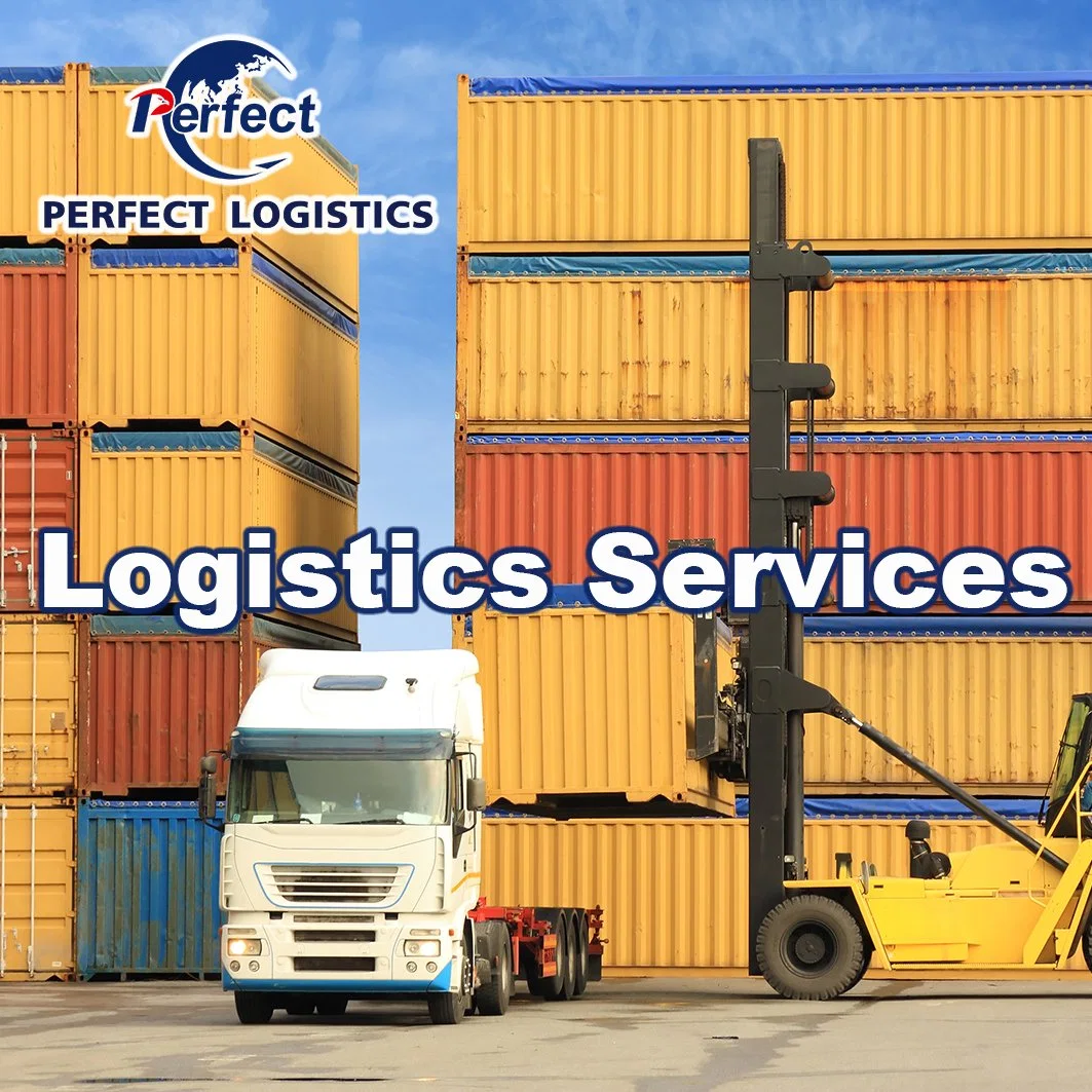 Professional Freight Agent Experienced Logistics Service Provider Container Shipment From China to USA by Sea/Air