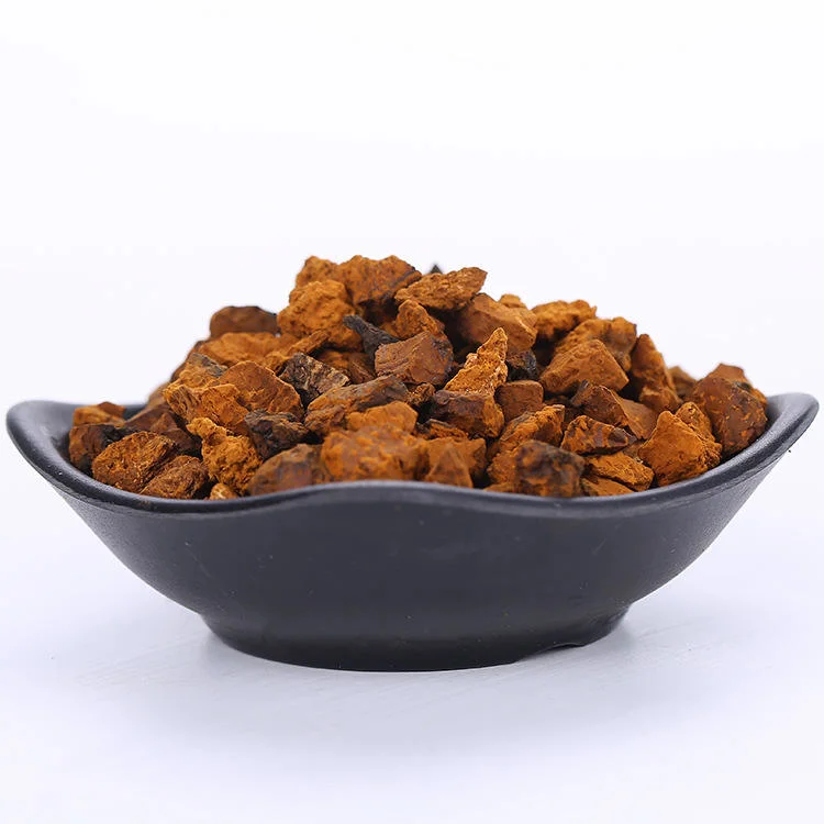 Seco Inonotus Obliquus supremo Chaga toda forma de hongo Chaga secos