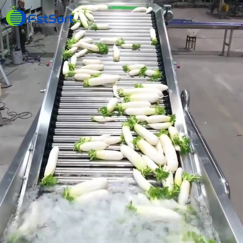 Fstsort Vegetable Washing Machine Manufacturers Turnip/ Beets Grader/Malanga/Taro/Eddo Cleaning Drying Sorting Machine Adjustable Sizer