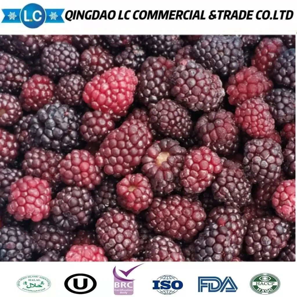 High quality/High cost performance  Bulk Frozen Fruit Blackberry Price Per Ton