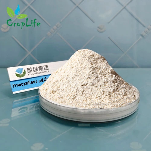 Uniconazole 90% 95%Tc CAS 83657-22-1 Quality Pesticide Factory Price