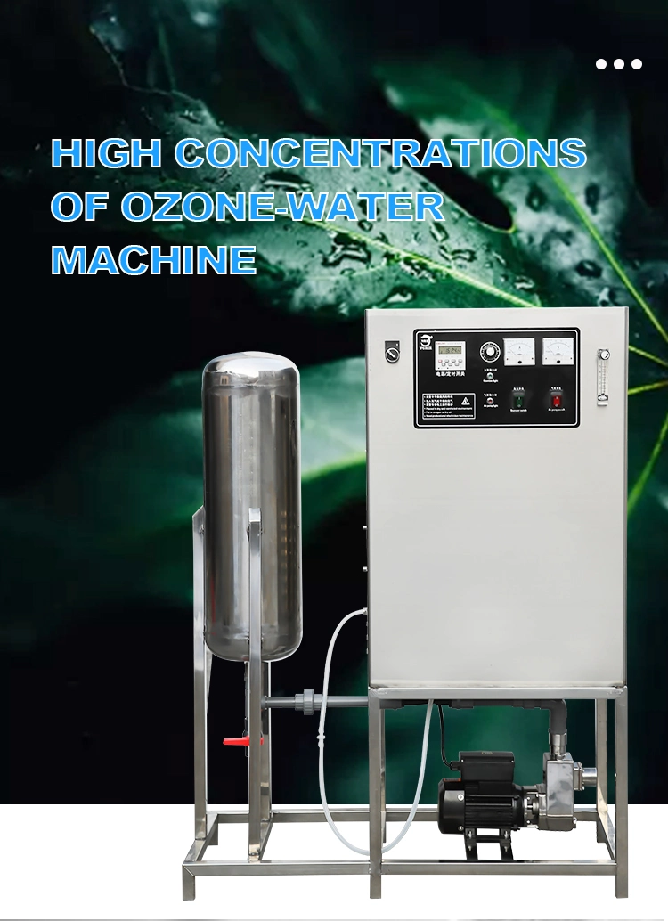 Wholesale 10g Ozone Machine for Farm Drink Water Treatment