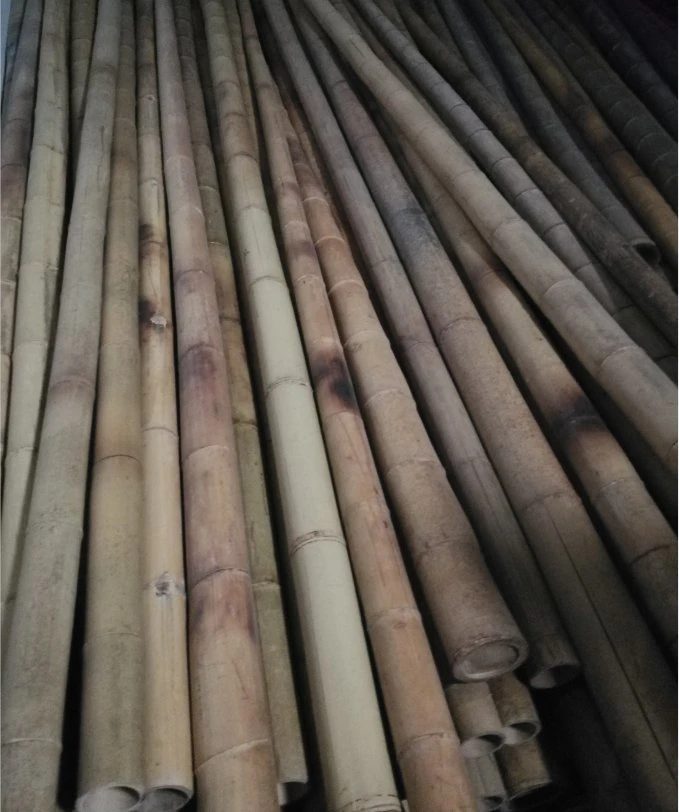 Moso Bamboo Poles Canes Stakes Sticks Farming Support Gardening Decor