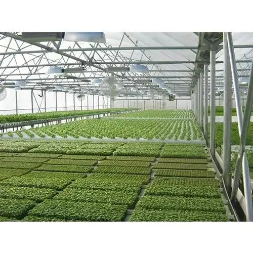 120X60cm High quality/High cost performance XPS Floating Board Dwc Hydroponics System Planting Vegetables