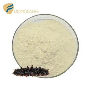 Cosmetic Food Grade Peptidase Enzyme Extract Sea Cucumber Peptide for Sale