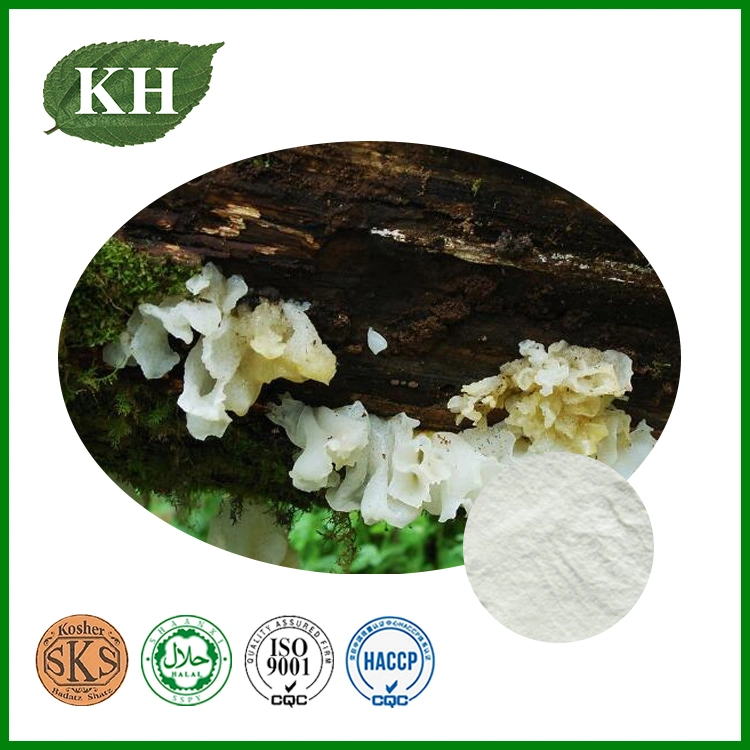 Immunity Enhancement Tremella Fuciformis Extract 10%-50% Polysaccharide