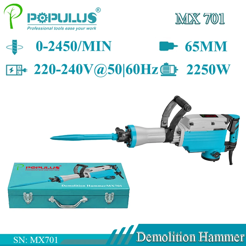 Populus New Arrival Industrial Quality pH65 2250W Demolition Breaker High Quality Electric Demolition Hammer Jack Hammer/Rotary Hammer