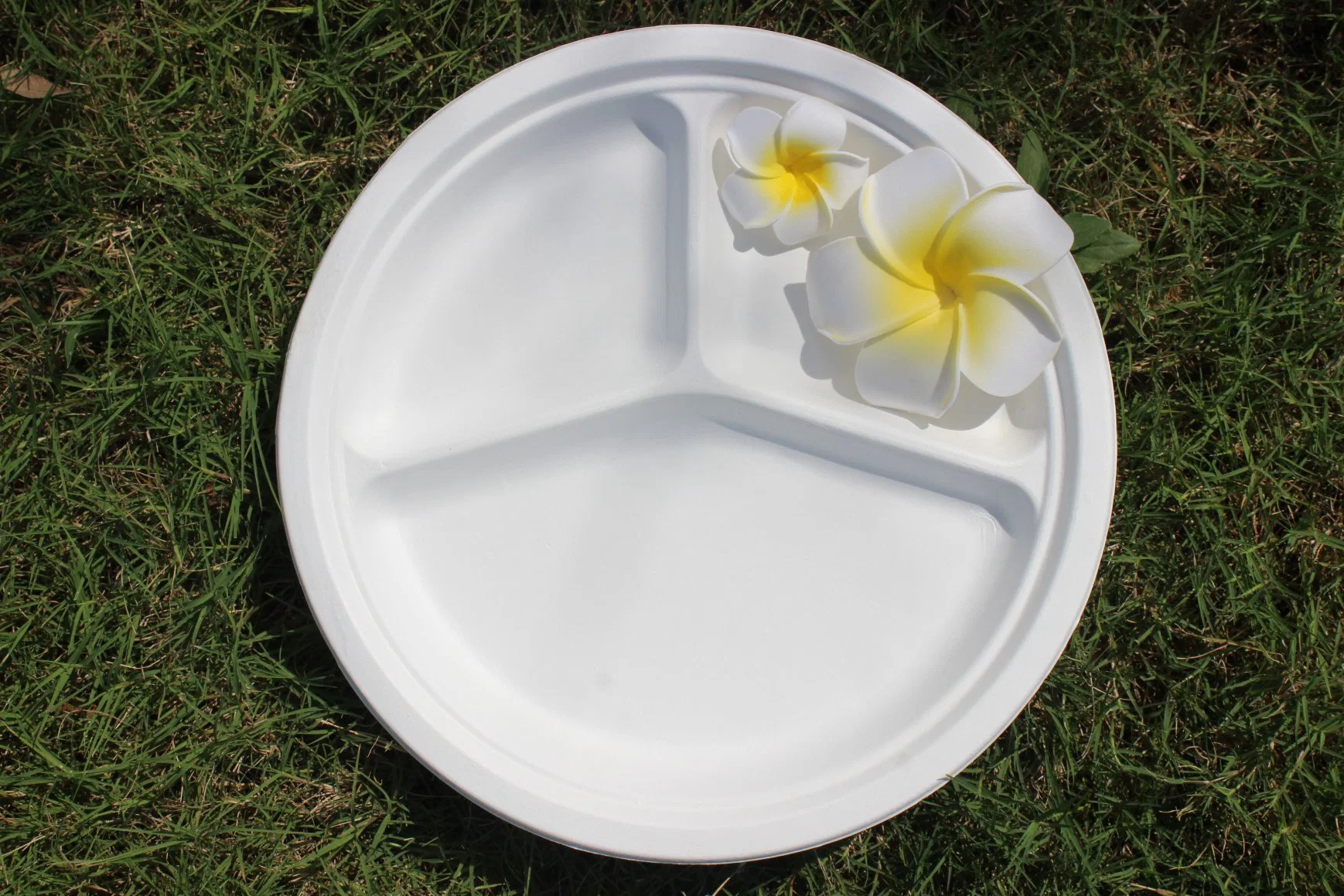 Eco-Friendly Biodegradable Eco-Friendly Plate Disposable Paper Tableware Sugarcane Bagasse Square Tray