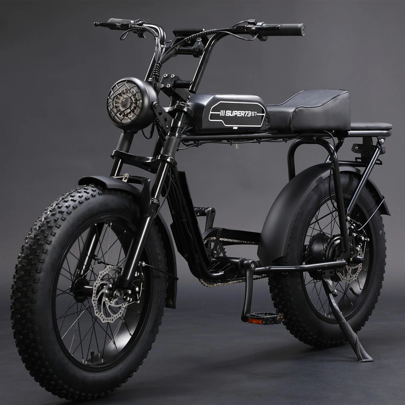 Electric Bike 2 Wheels Fat Tire Snowmobile E-Scooter Bicycle ATV