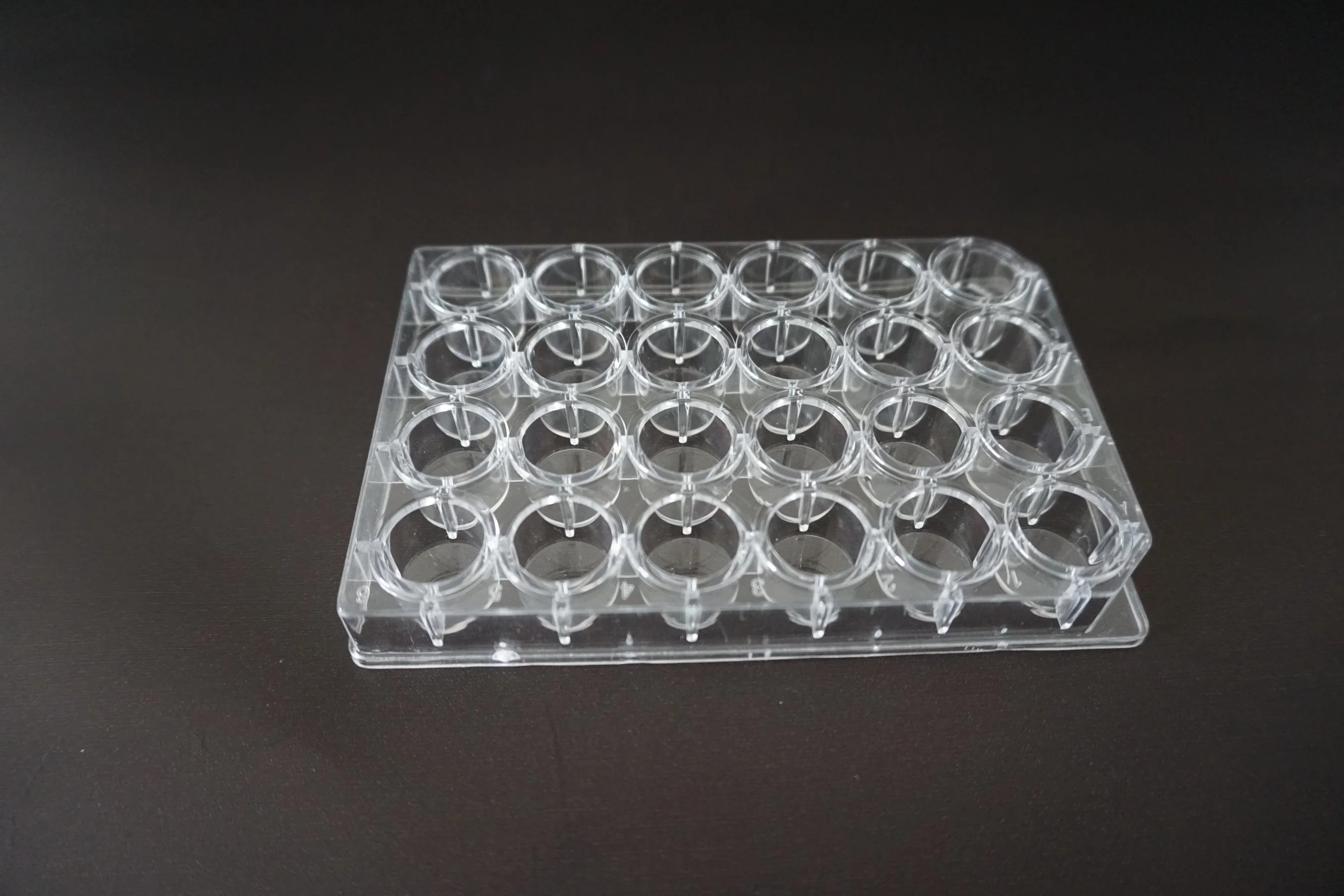 Disposable Sterile Bacterial Tissue Vessel Plastic Petri Dish Cell Culture Plate for Lab