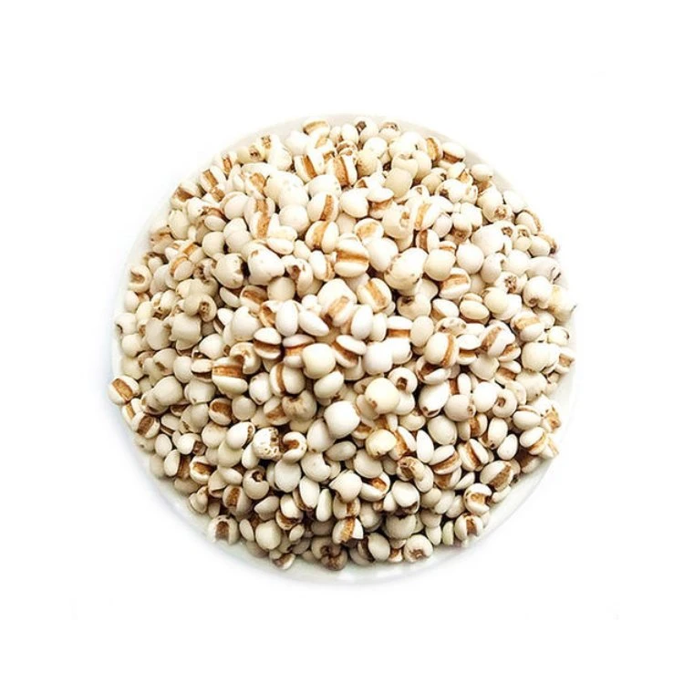 Wholesale/Supplier Chinese Herbal Medicine Dried Coix Seed